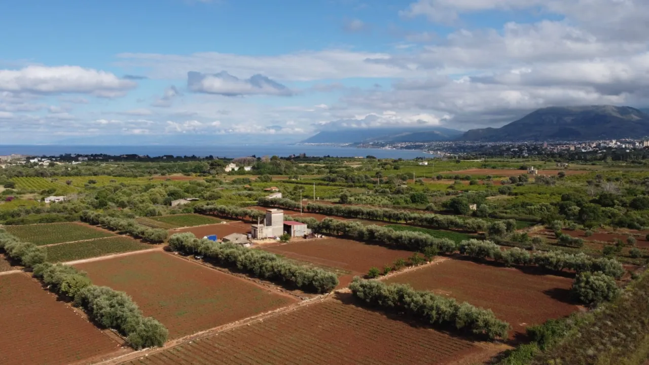panorama