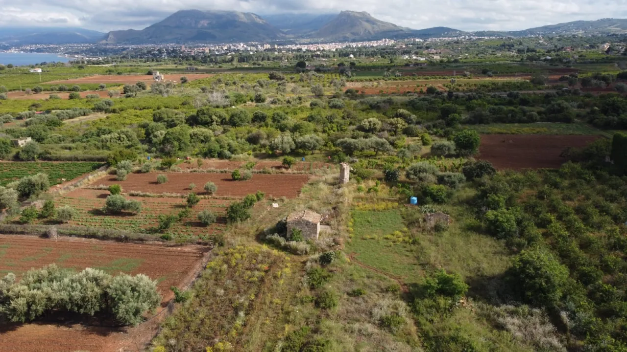 terreno